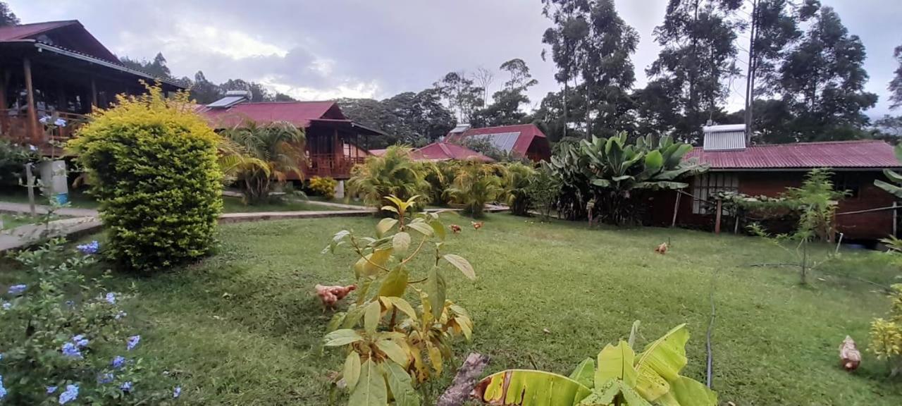 Chontaqui Eco-lodge Lodge