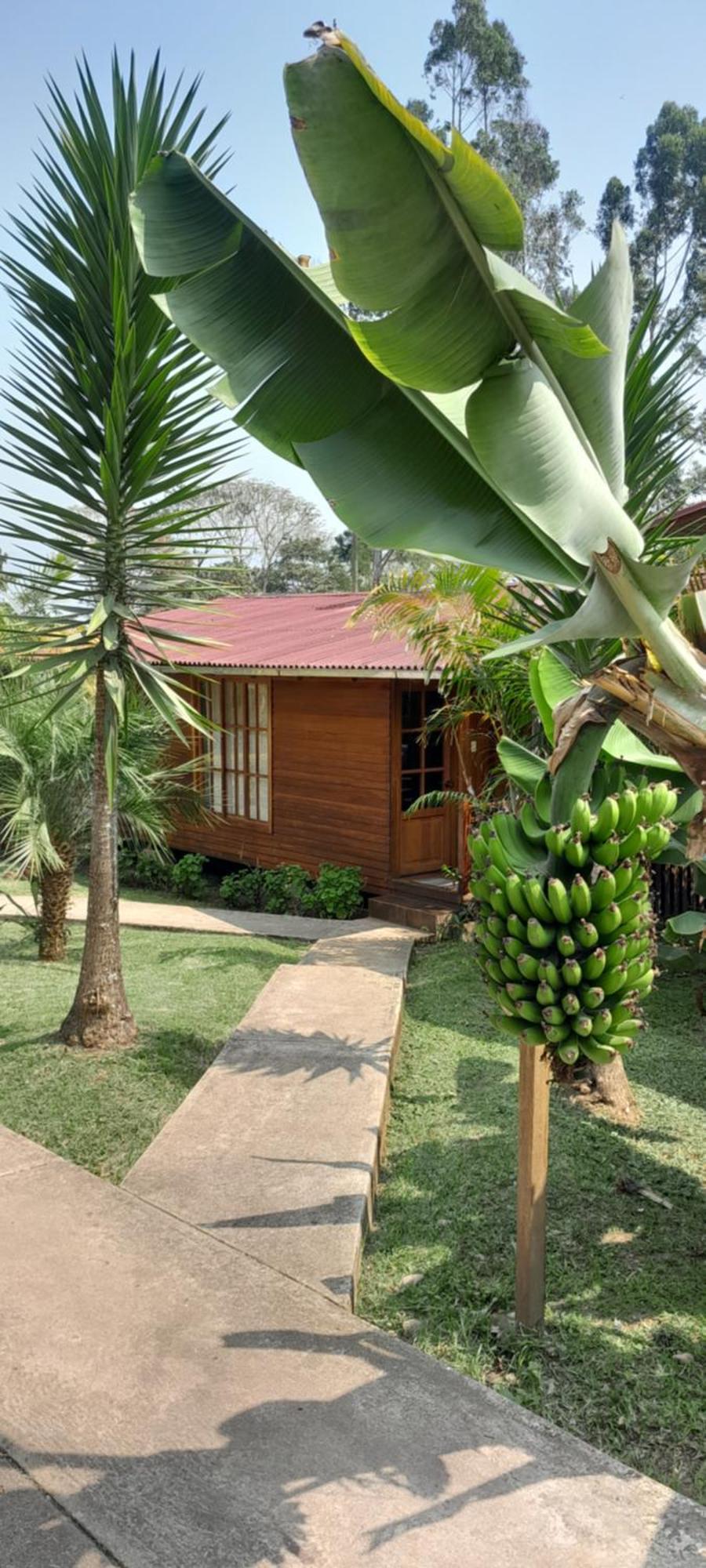 Lodge Chontaqui Eco-lodge
